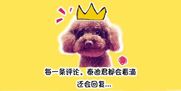 狗狗在妈妈面前被「宠物床」杀死，饲主几乎崩溃：千万不要买这种