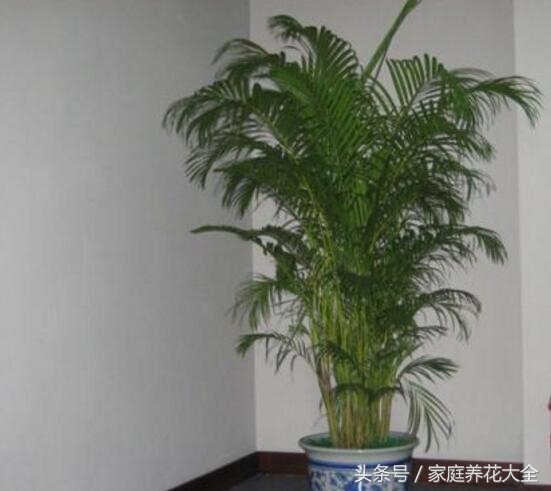 对抗秋冬干燥学会这4招,对抗秋燥