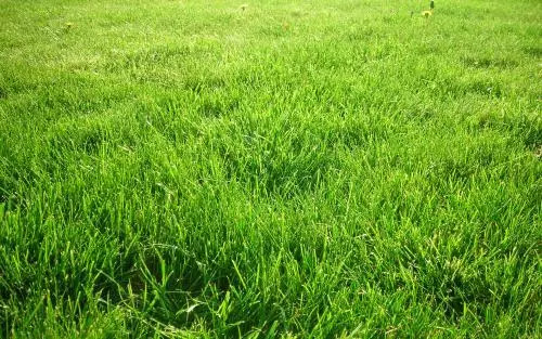 日本街头的汉字,日本常见的汉字词