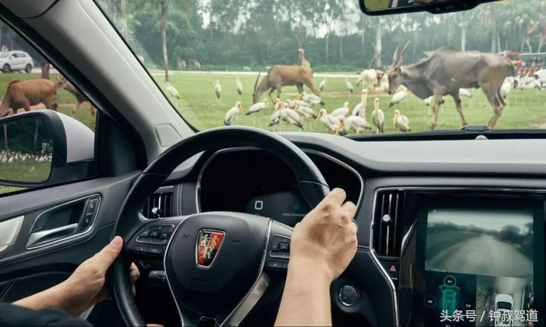 叔情｜在动物的乐园里，我们更理解了环保的意义！