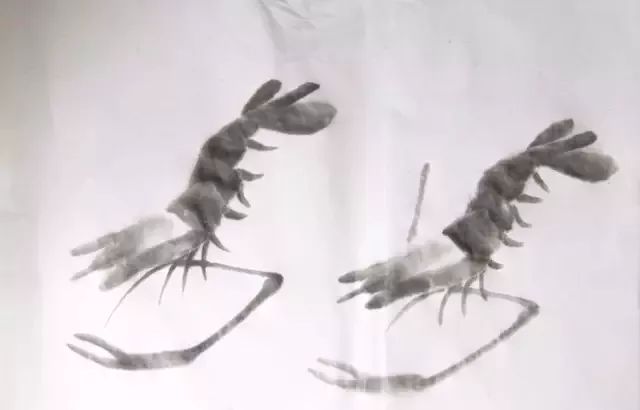 简单方法画虾,怎样画虾教学视频
