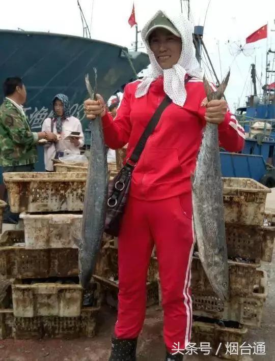 烟台开海现场直播视频,开海现场视频直播