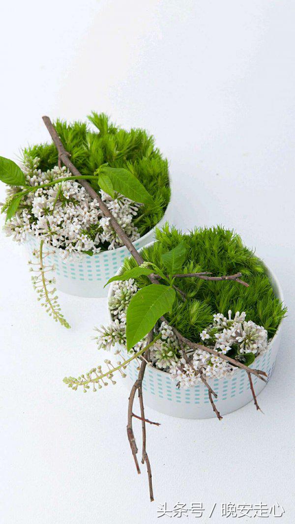 你狠狠摔倒过,就知道擦破皮不值得哭