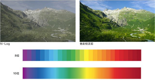 尼康z7配85mmf1.8与24-70mm,尼康z7ii和富士gfx50sii高感评测