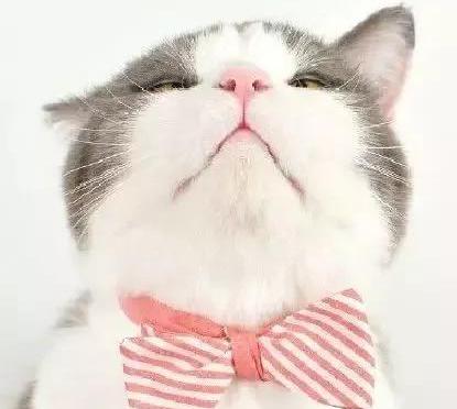 名医谈艾灸排病反应,艾灸老师讲解