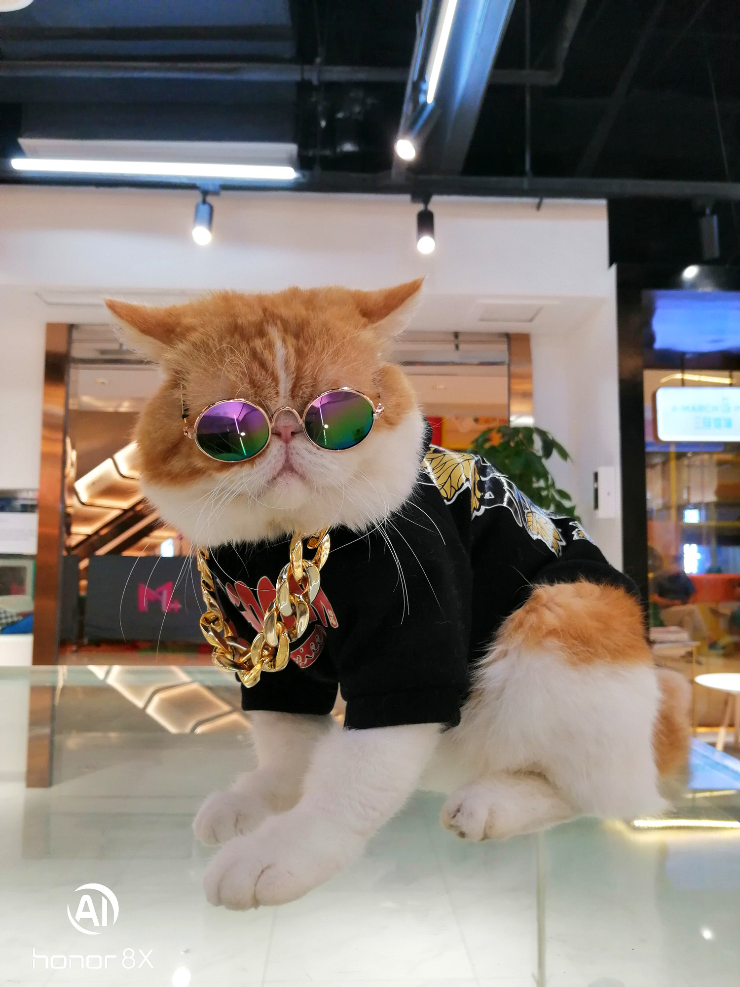 荣耀8x上手评测千元霸屏名不虚传,荣耀八魅海蓝