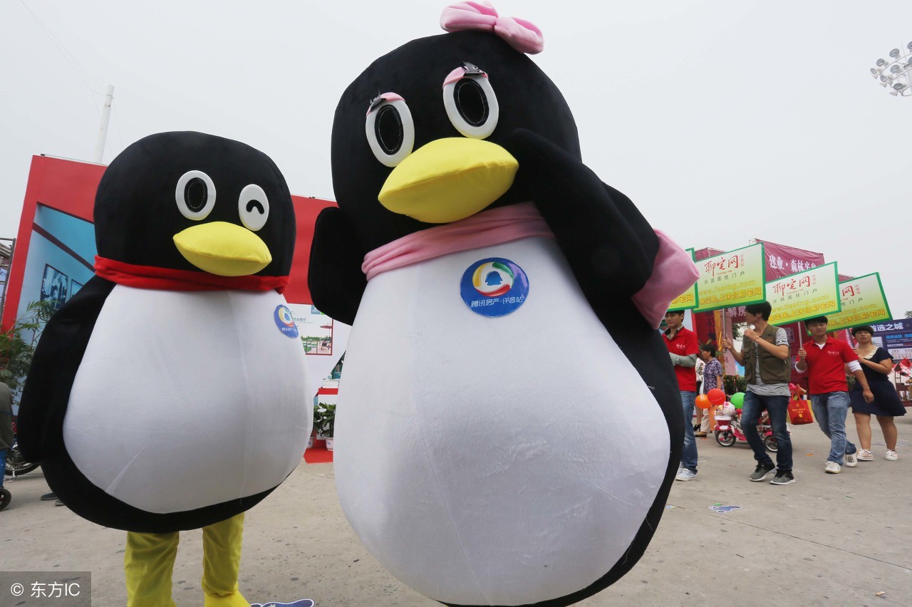 百家号企鹅号头条号哪个更好,企鹅号和百家大鱼哪个好