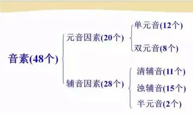 英语48个音标发音教学书籍,英语26个音标发音学习附详细图解