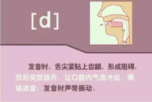 英语音标48个发音有趣教学视频,英语音标48个发音快速记忆