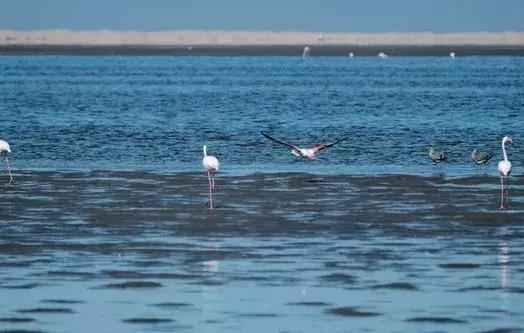 五分钟认识英国,五分钟认识奔驰