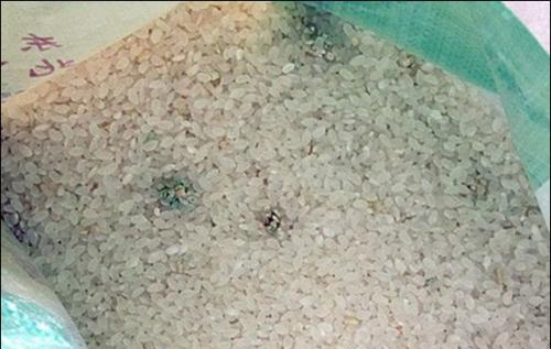 大米放太久怎么办,大米放置时间长了会发霉吗