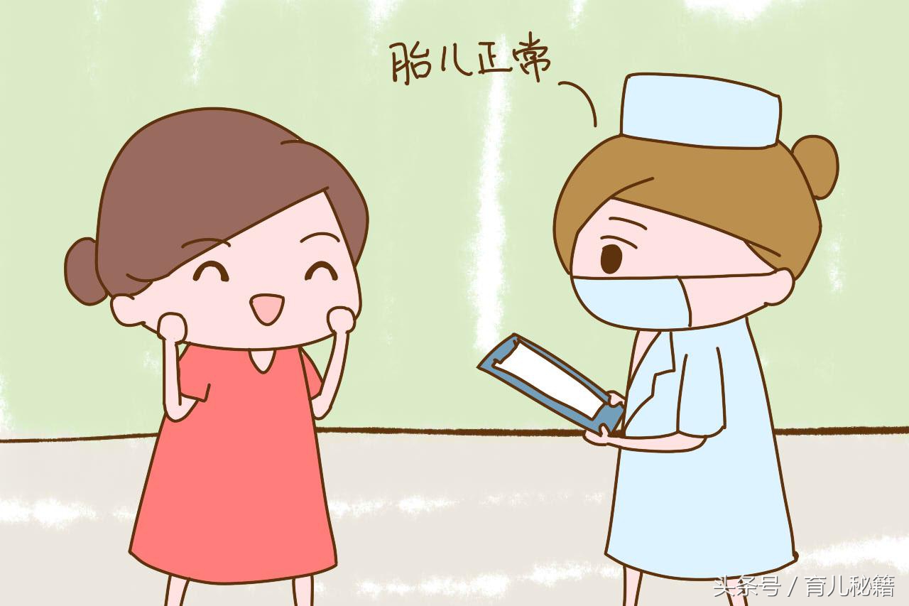 b超单显示什么可能是同卵双胞胎,b超单会显示上下怀吗