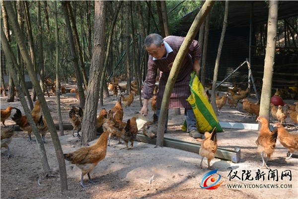 cctv7致富经节目现在什么时间播放,cctv7的致富经栏目是几点播放