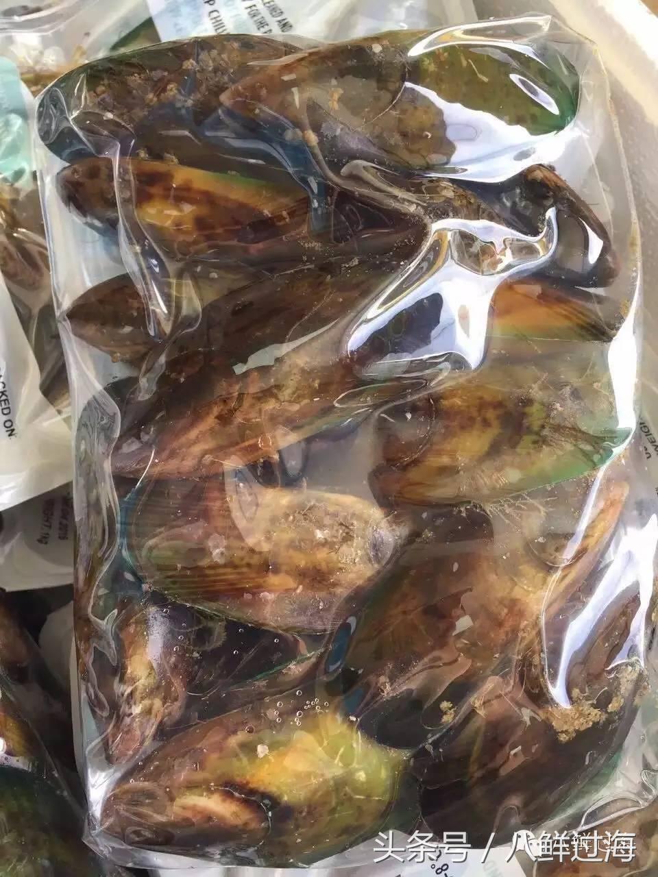 新西兰海边青口贝,新西兰赶海吃青口贝