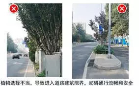 「交通看点」建设“完整林荫道”——步行和自行车交通环境设计建设图集亮点介绍（一）