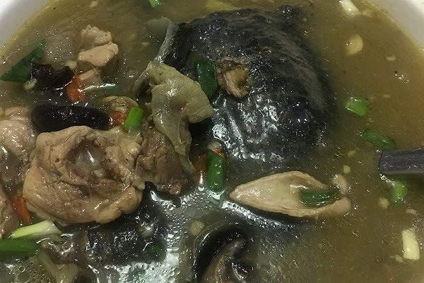 甲鱼最常见的几种做法,冬季甲鱼跟什么做才好