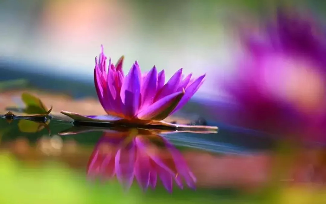 跟炎炎夏日说拜拜,跟炎热的夏天说再见