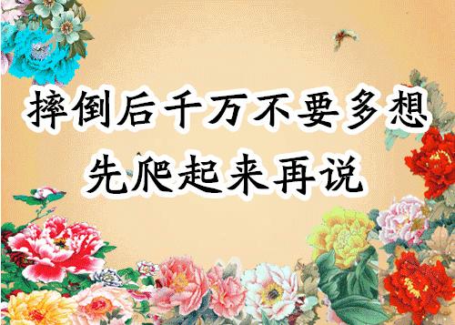 会动的照片大全,会动的11张图片