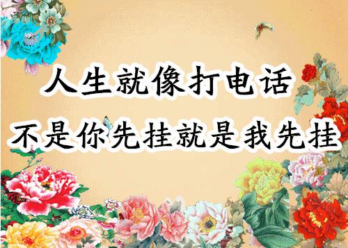 会动的照片大全,会动的11张图片