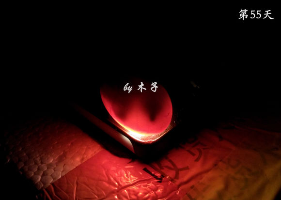 草龟繁殖经验分享孵蛋40天破壳,草龟养殖日记从幼苗开始