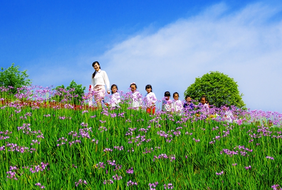 九龙坡环境比较好的地方,九龙坡最好的地方
