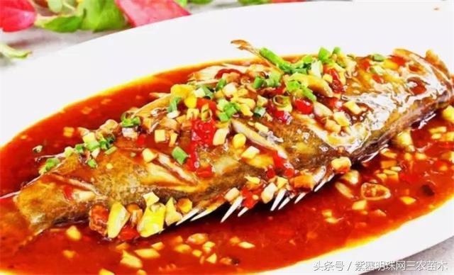 黄山旅游攻略黟县民宿景点,黄山宏村千岛湖西塘旅游攻略