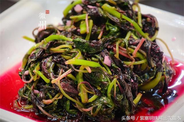 黄山旅游攻略黟县民宿景点,黄山宏村千岛湖西塘旅游攻略