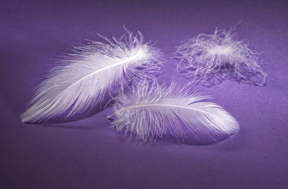 天快凉了，你还在为选羽绒被发愁吗？