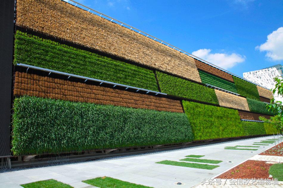 云南植物墙装饰,陕西户外植物墙装饰