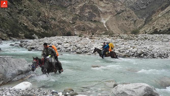 一次偶然，铸就永恒，十年驴龄的他“长存”于此-乌孙驴行记