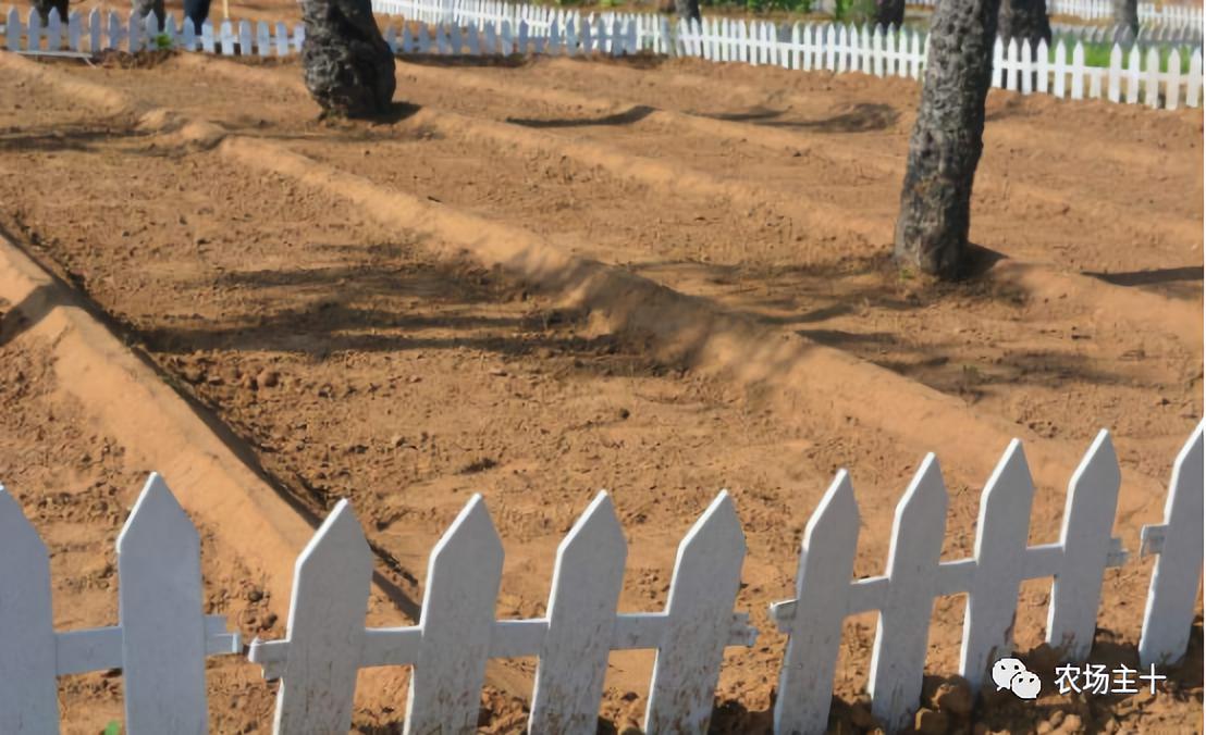 成为农业大户的条件,中国农场主的要求