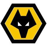 聊聊足球五大联赛,盘点足球粤语译名与国语的差别