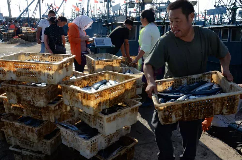 开海了！抖音上的小姐姐，来烟台吧！海鲜管够……