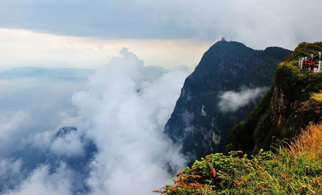 早啊新闻来了语音版,早啊新闻来了手机版怎么下载