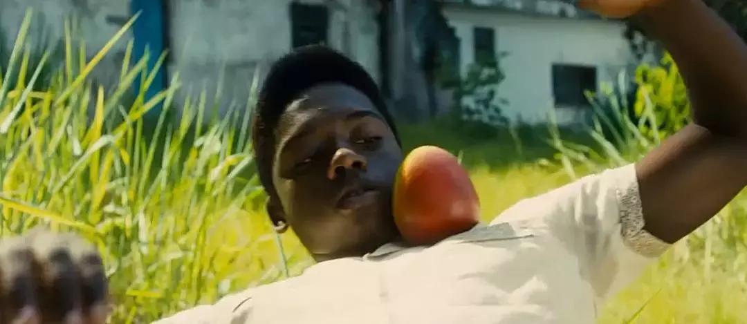 我叫贝利，也曾慌得一比