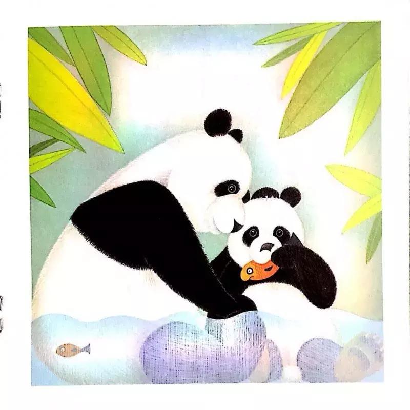 最近流行适合女性的一套书,平价颜值又高容量大的书