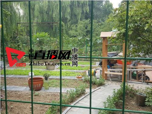 蓬莱公寓一层业主肆意占绿地挖鱼池毁电缆