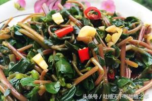 马齿苋凉拌菜方法,凉拌马齿苋怎么做才好吃呢