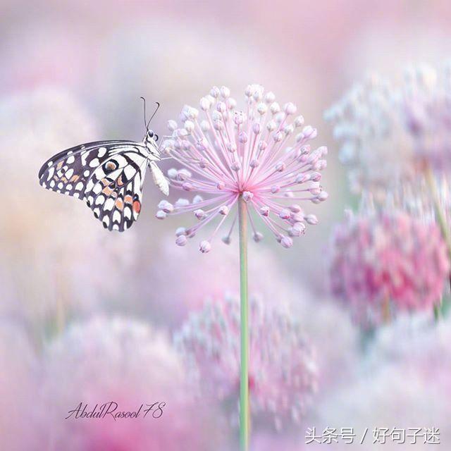 好听的qq个性签名大全,好听的qq个性签名英文