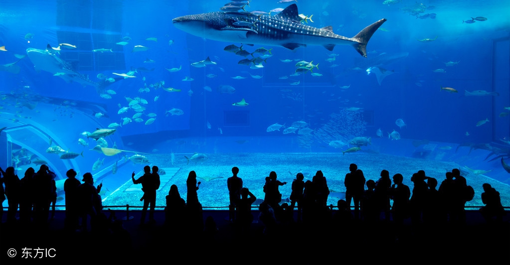 世界公认十大主题乐园 (盘点国外7大主题乐园)