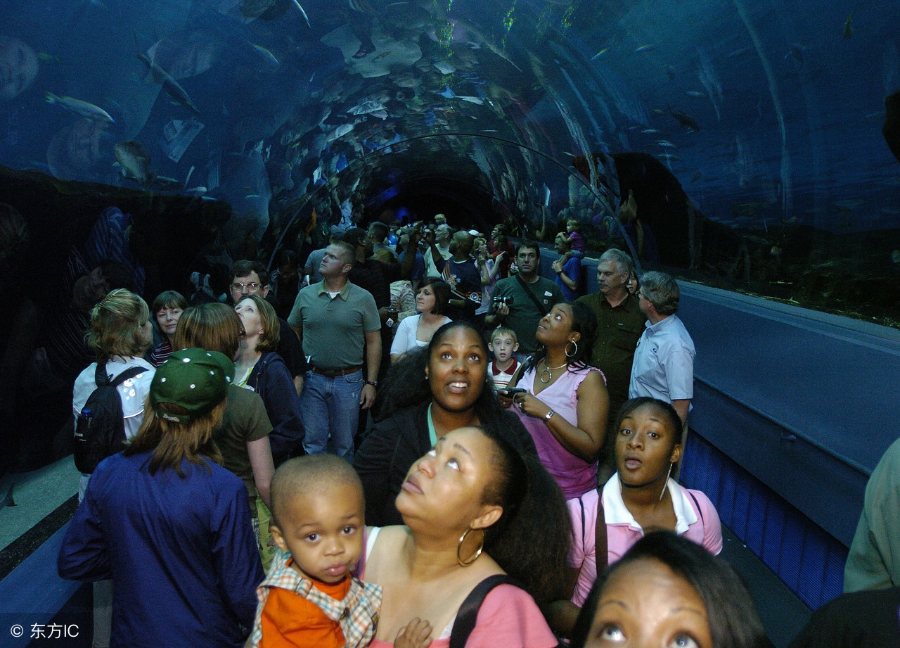 世界公认十大主题乐园 (盘点国外7大主题乐园)