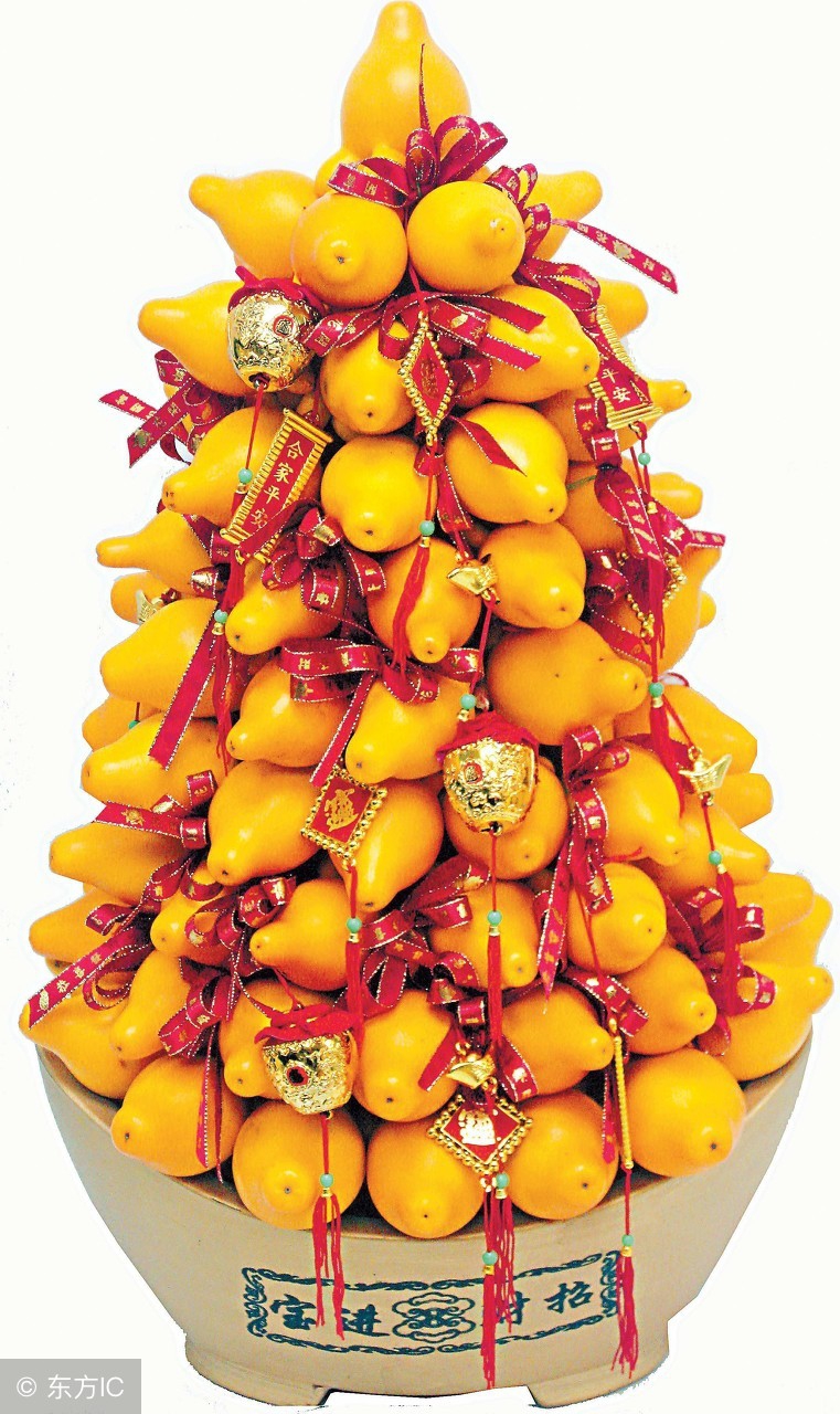 这植物果子有毒不能食用,却能治疗脚气和足癣!寓意财运高照!