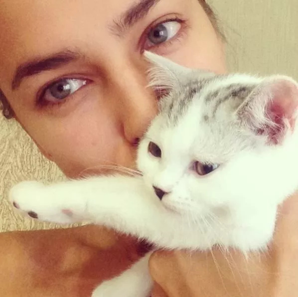 维密天使猫猫走秀,维密超模走秀猫咪