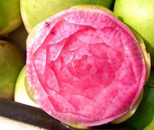 100道坑人菜名,八大坑爹菜名