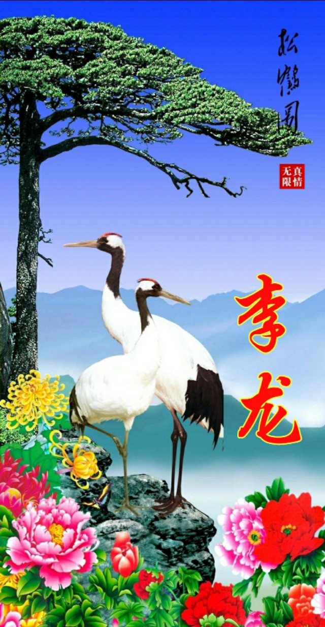 松鹤延年国画寓意,松鹤延年花语