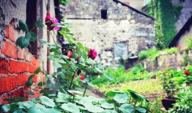 宜昌董市古镇,枝江市古镇