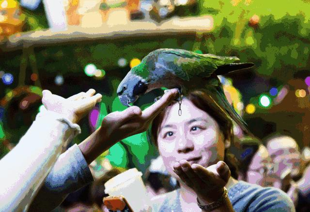 温州5050购物中心入驻品牌,温州5050商场活动