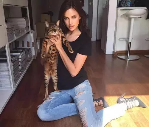 维密超模猫咪,维密秀猫咪