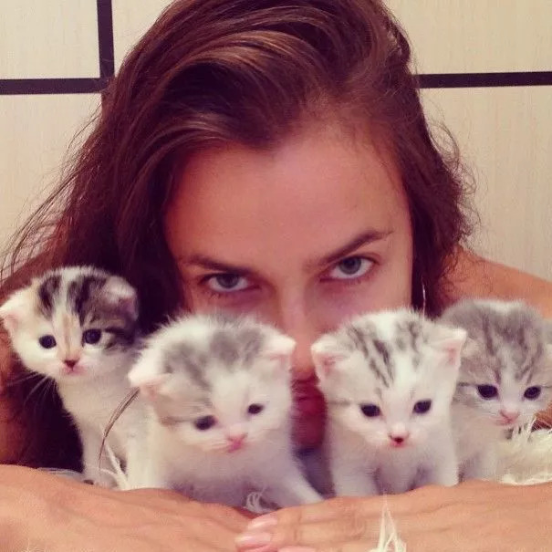 维密超模猫咪,维密秀猫咪