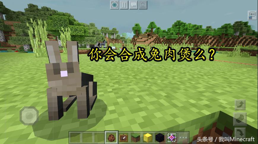 我的世界mc玩家才知道的冷知识,我的世界mc老玩家才知道的知识